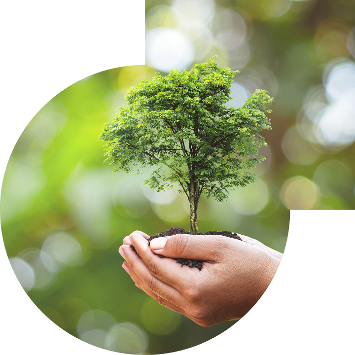 关怀人类、文化、环境与社会